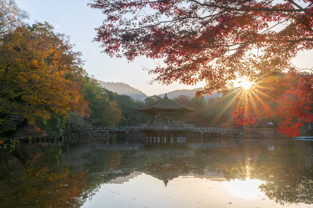 浮見堂の紅葉