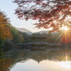浮見堂の紅葉