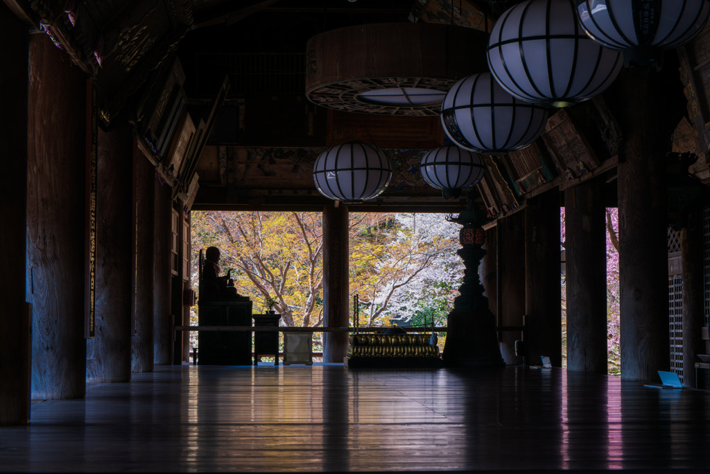 長谷寺の桜