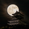 月夜の岐阜城