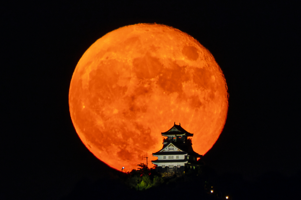 岐阜城と月
