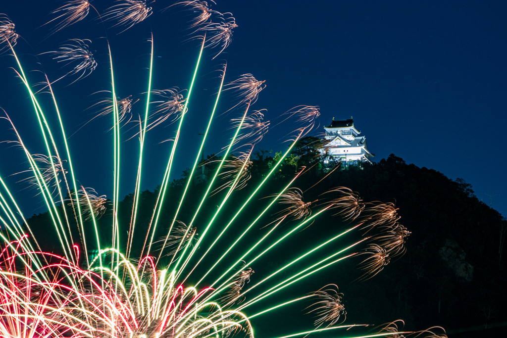 鵜飼花火と岐阜城