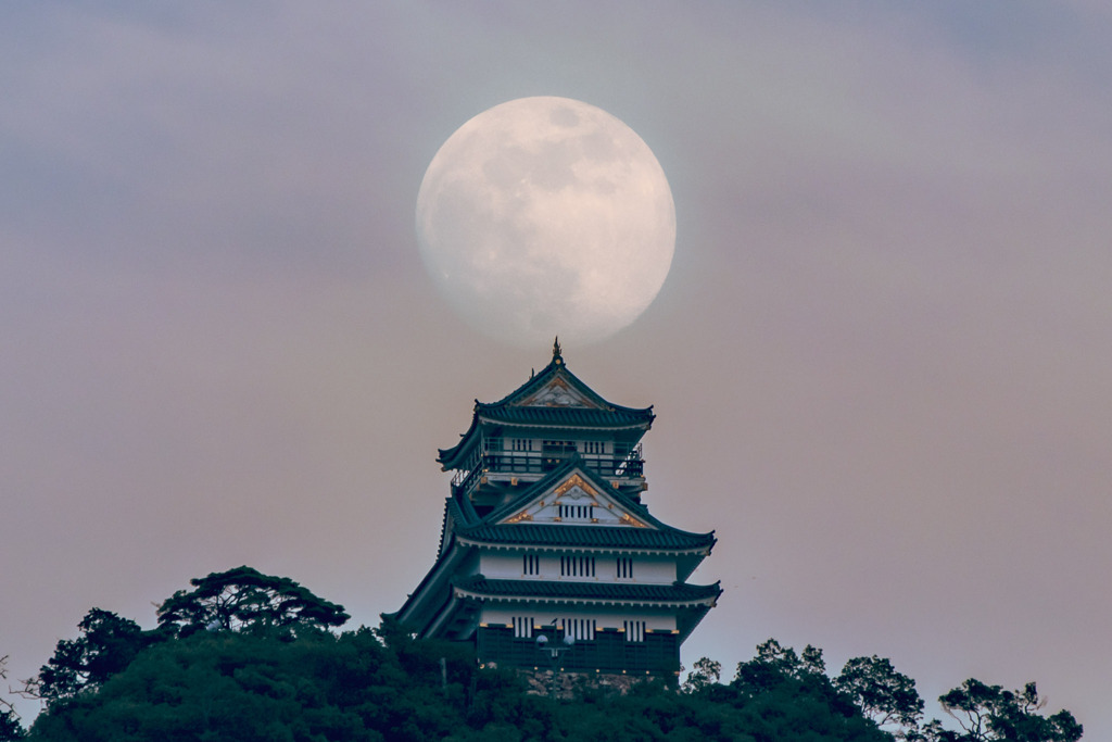 岐阜城と月