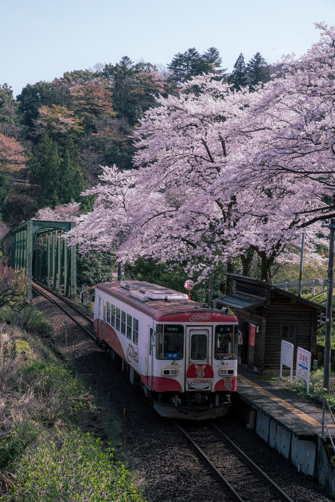 樽見鉄道～日当駅