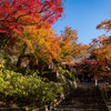 長谷寺の紅葉