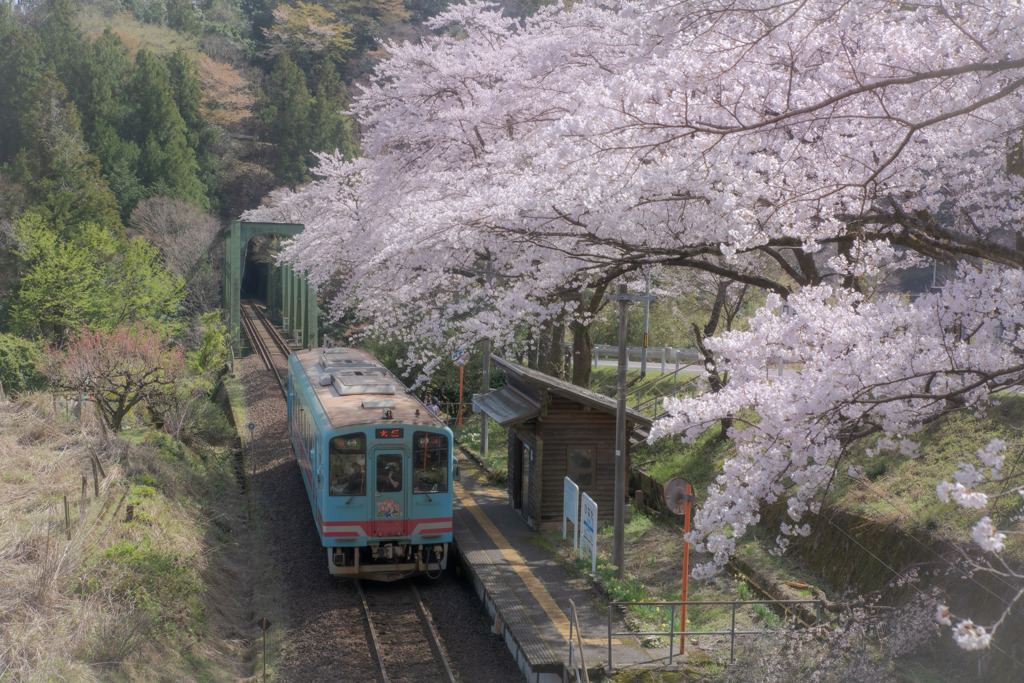 樽見鉄道～日当駅