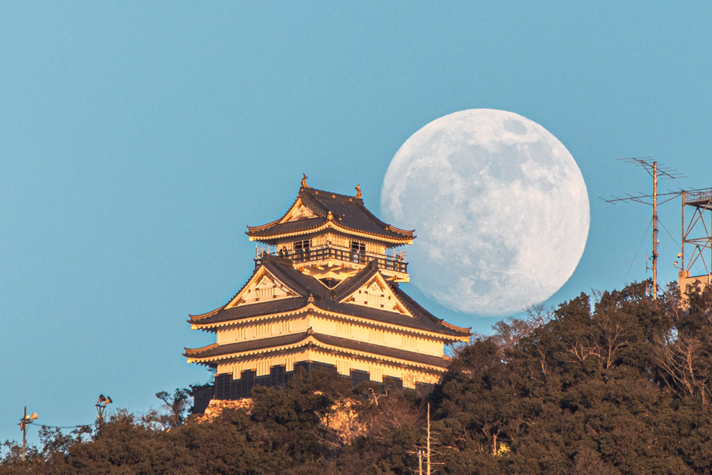 岐阜城と月