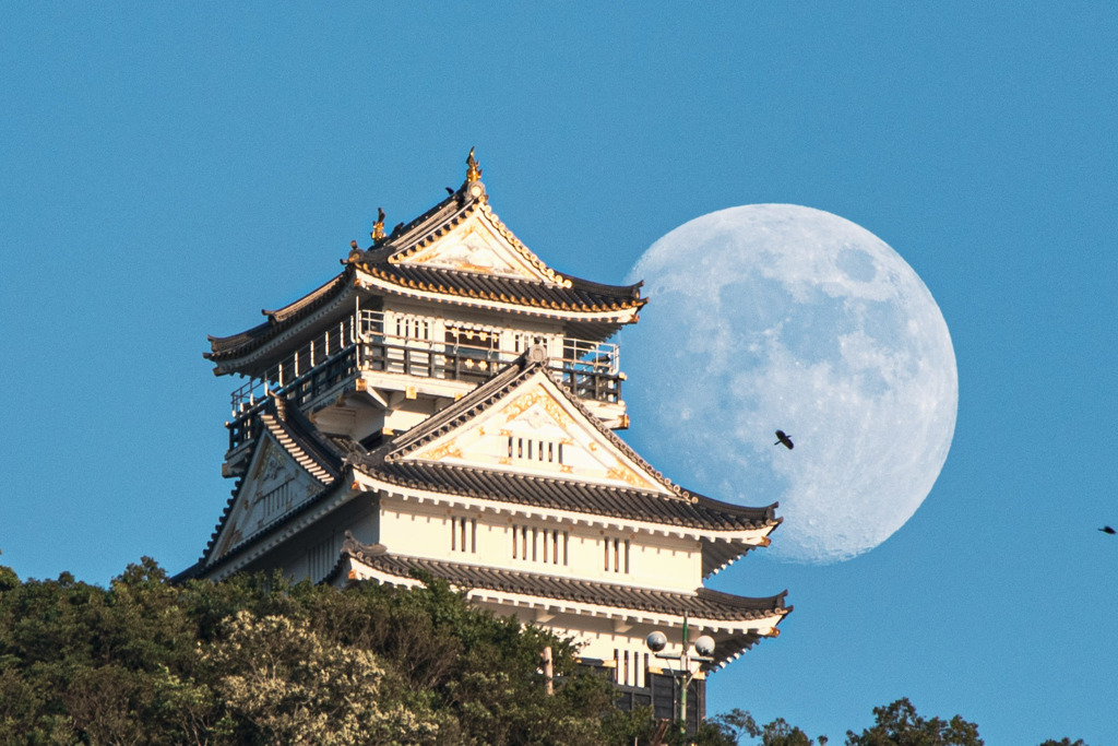 岐阜城と月と鳥