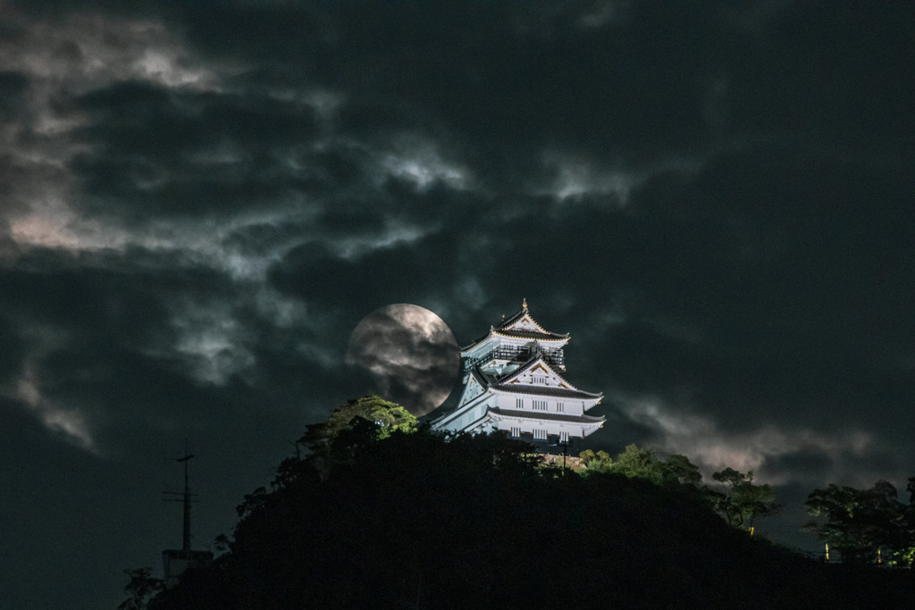 岐阜城と月