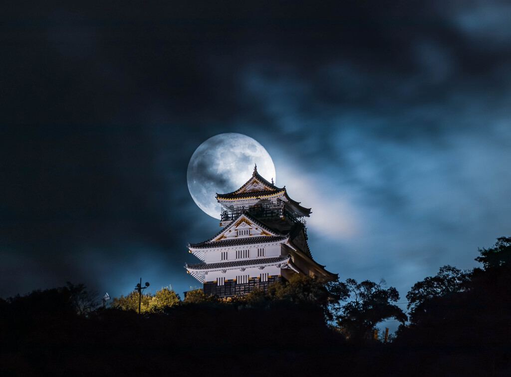 岐阜城と月