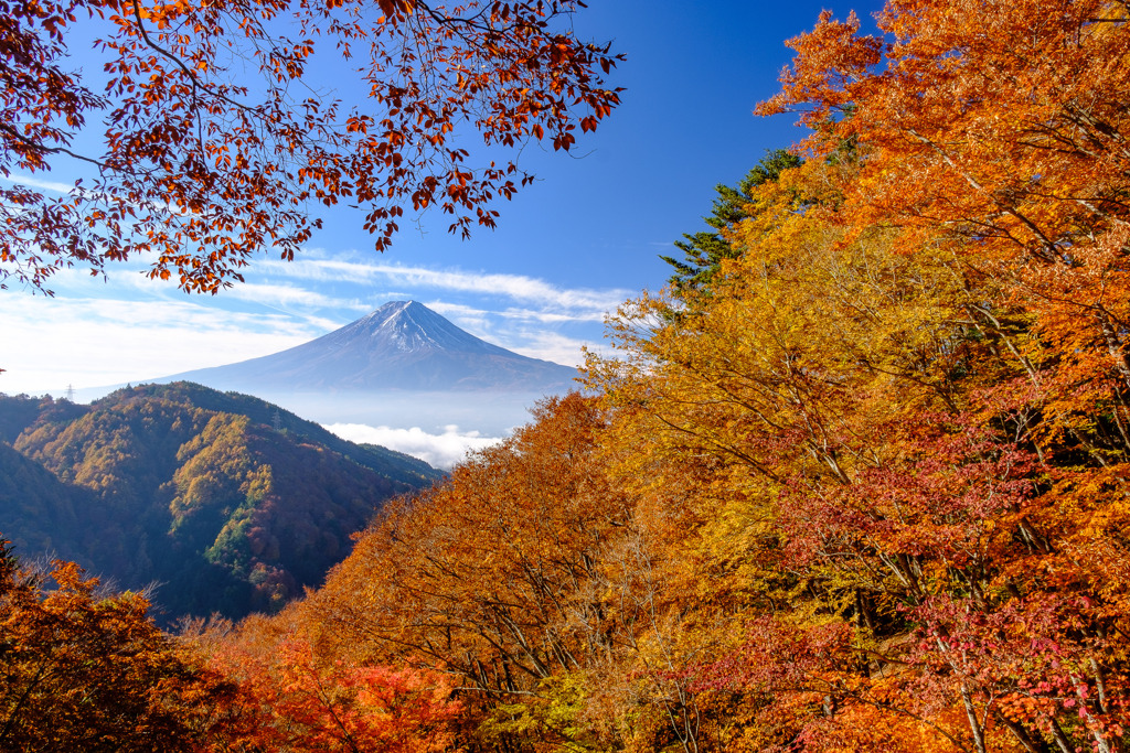 峠の秋の彩り