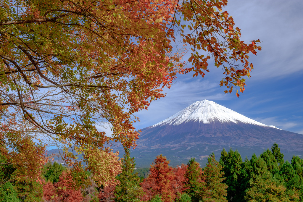 秋景に化粧直しして