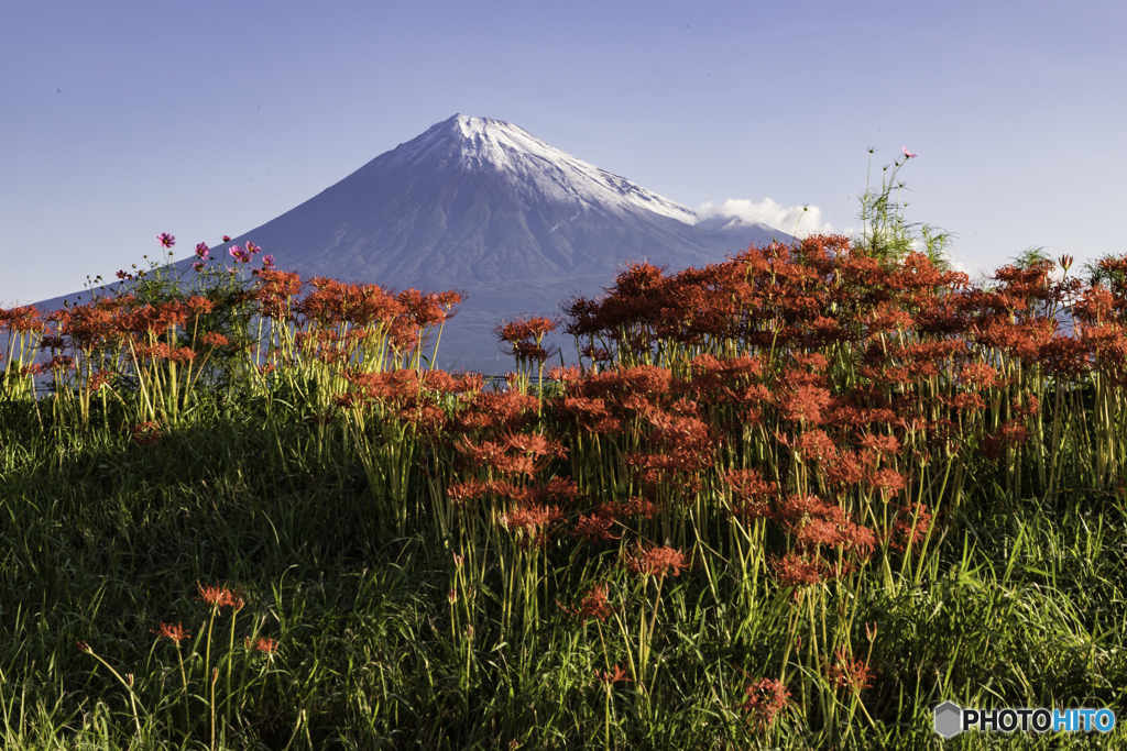 赤く祝う！初冠雪