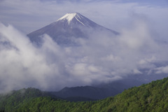 うごめく雲海