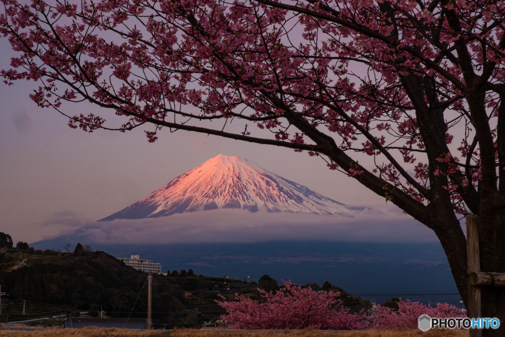 春色の夕暮れ