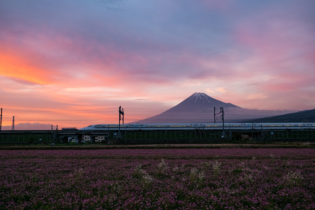 春夕暮れを帰宅時へ
