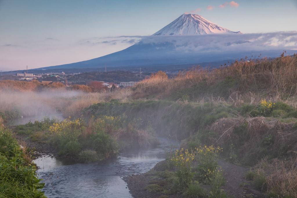 川霧湧く小川