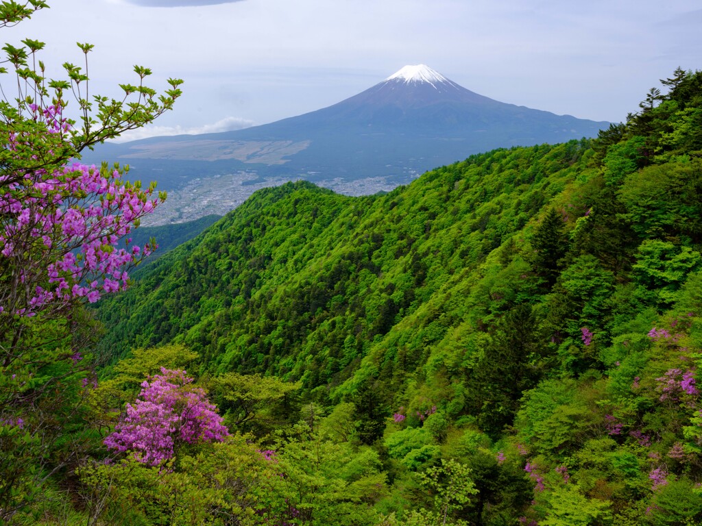 新緑の山肌に包まれて