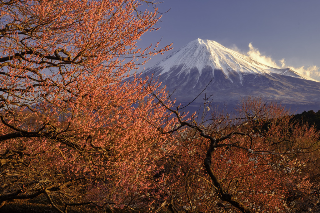 （富士山の日）より紅く