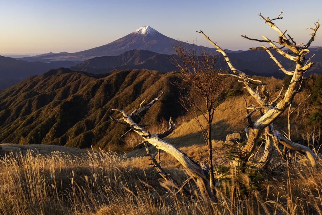 山の上のオブジェ