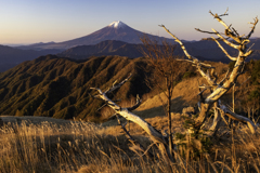 山の上のオブジェ