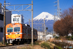 福だるま電車走る