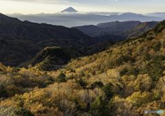 山肌を秋色に