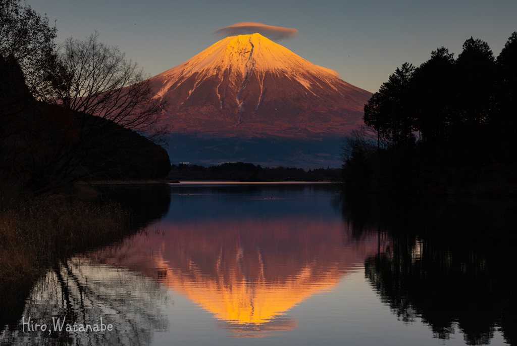 紅に染まる