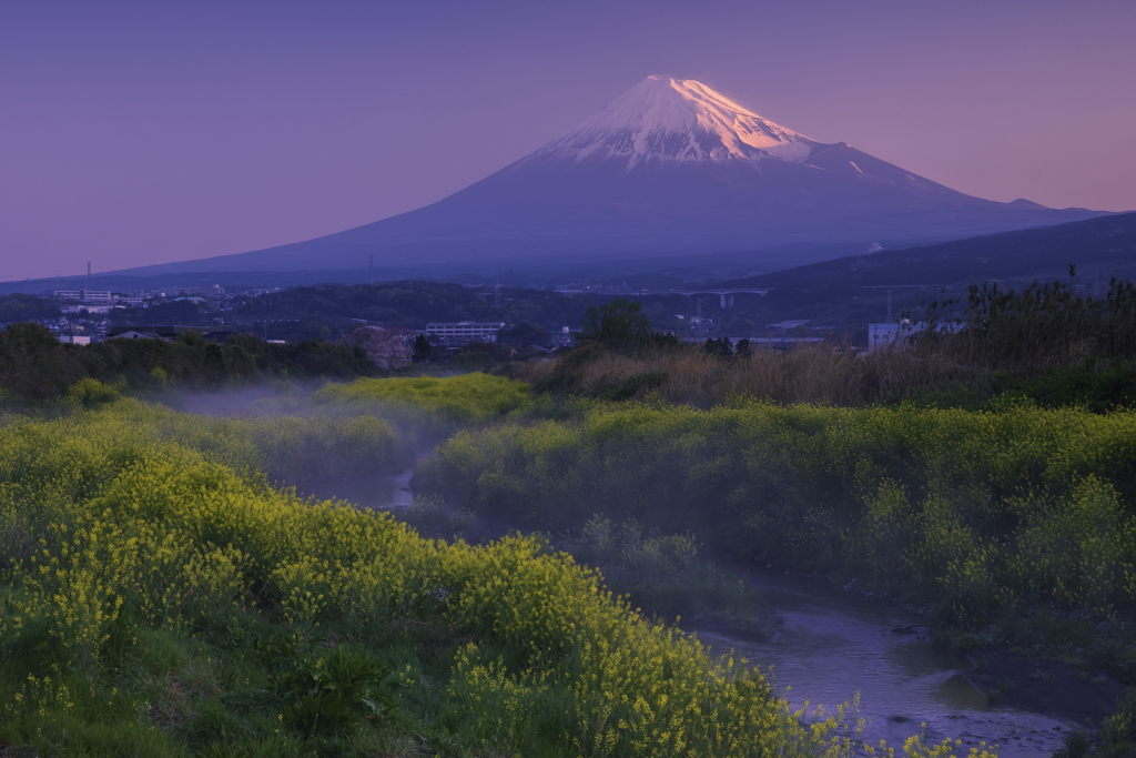 川霧沸く春の朝