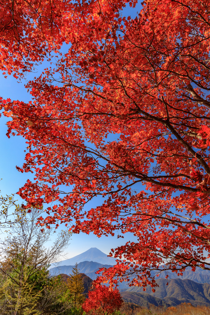 青空を紅色に
