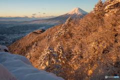 山肌染めて