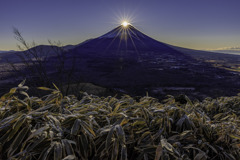 今年の願いを込めて