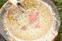 水の中に紅葉