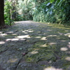 DSC02673