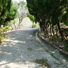 DSC02697