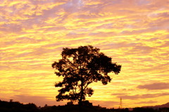 DSC01094