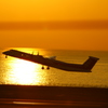 夕日と飛行機