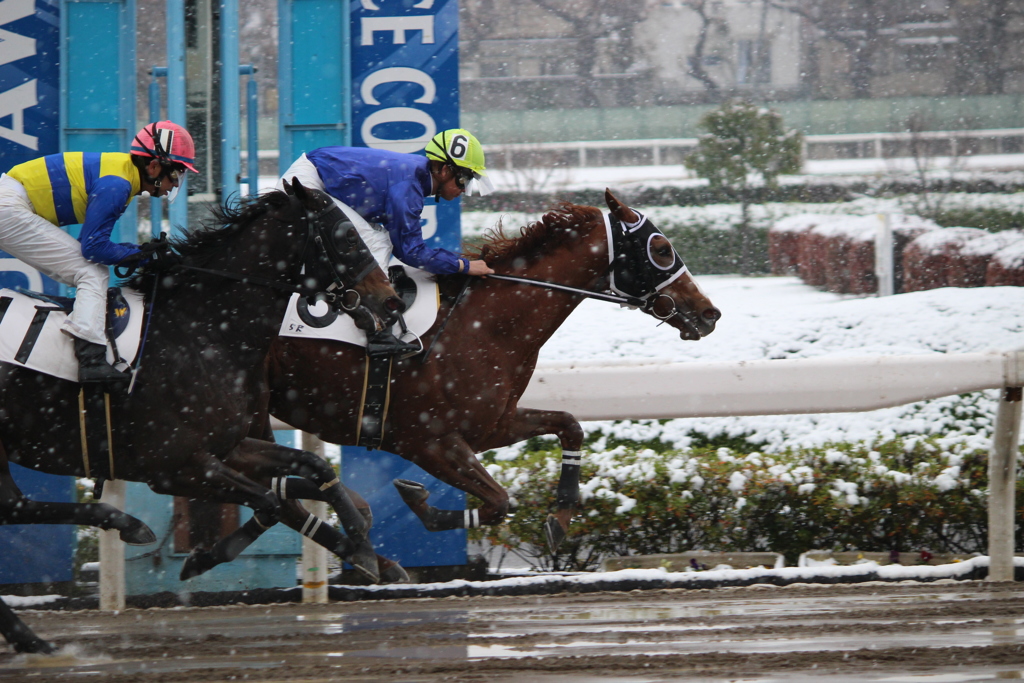 雪の浦和競馬