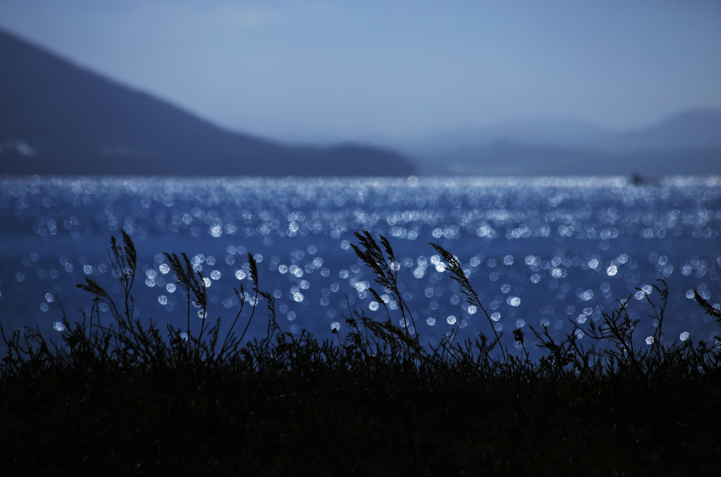 サロマ湖ワッカ原生花園