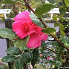 もう