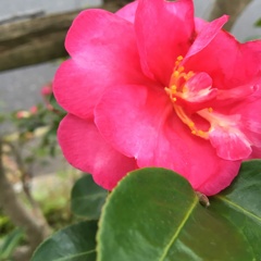 永遠などないのだと