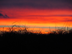 高ボッチ高原の夕焼け