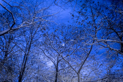 吹雪の後の静けさ