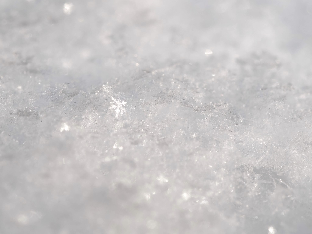 小さな小さな雪の結晶