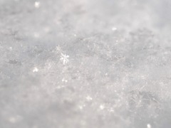 小さな小さな雪の結晶