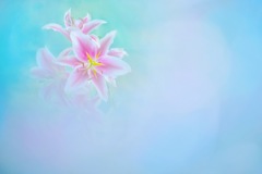 夏色