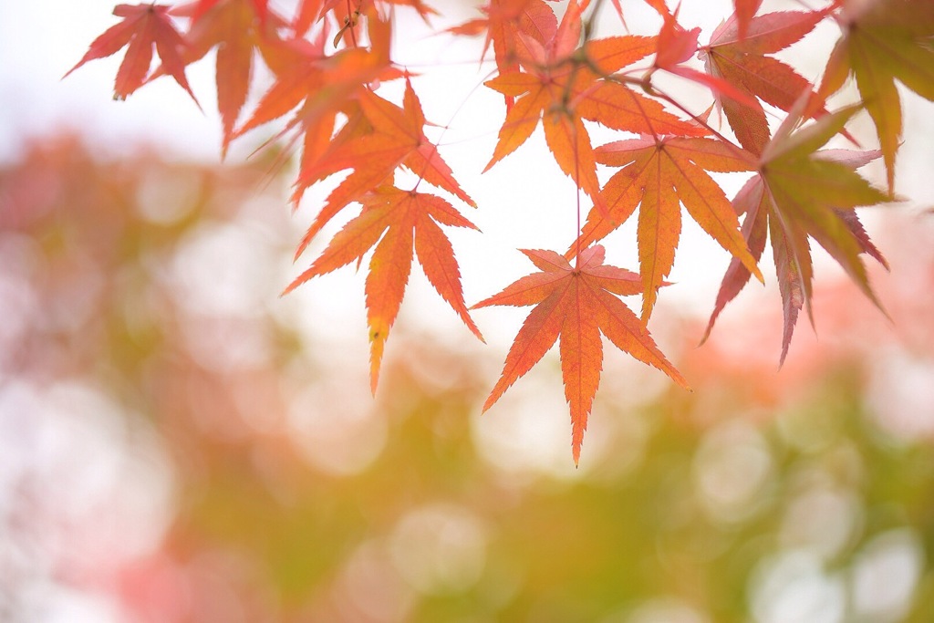 優しい光に包まれて