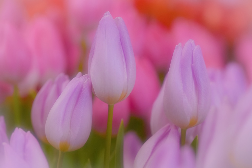 寄り添うふたり