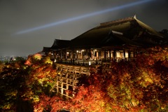 京都清水寺ライトアップ！