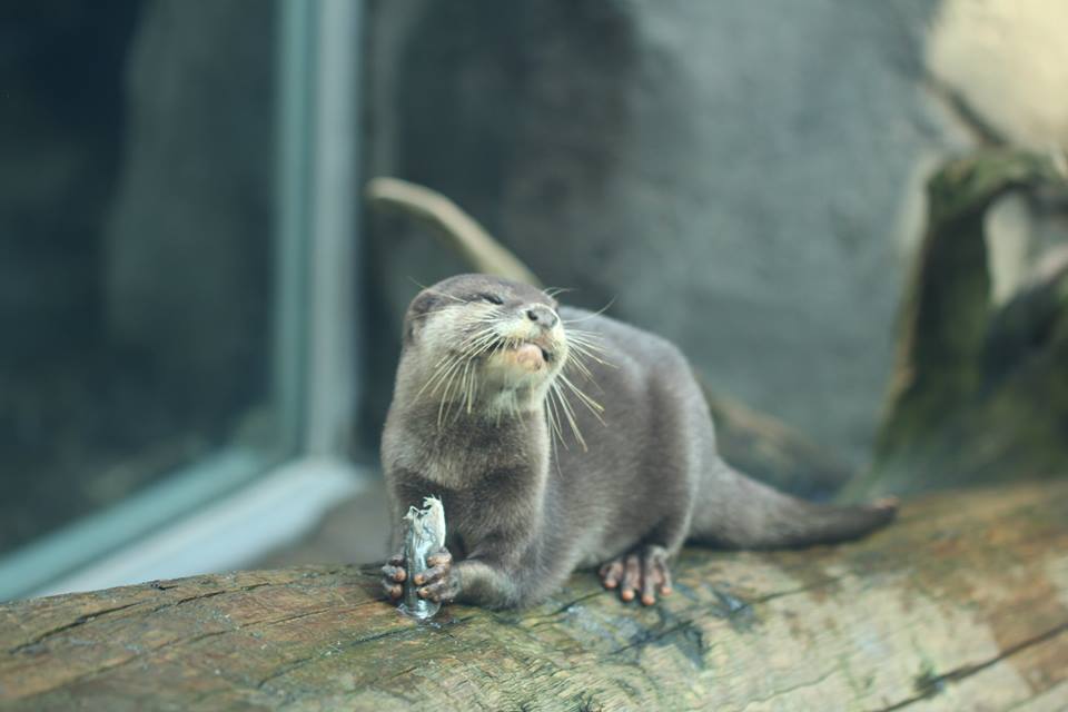にんまり その①
